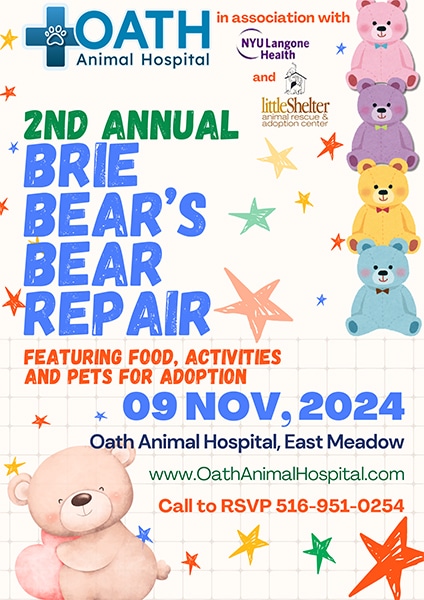 2nd Annual Brie Bear's Bear Repair - Oath Animal Hospital