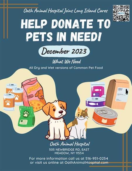 Feeding Furry Friends: Oath Animal Hospital's Pet Food Drive in Collaboration with Long Island Cares